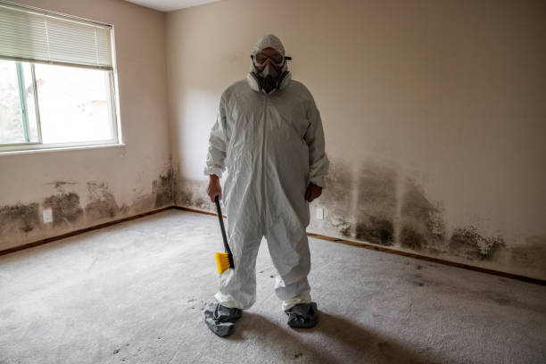Best Fast Mold Removal  in Marion, PA